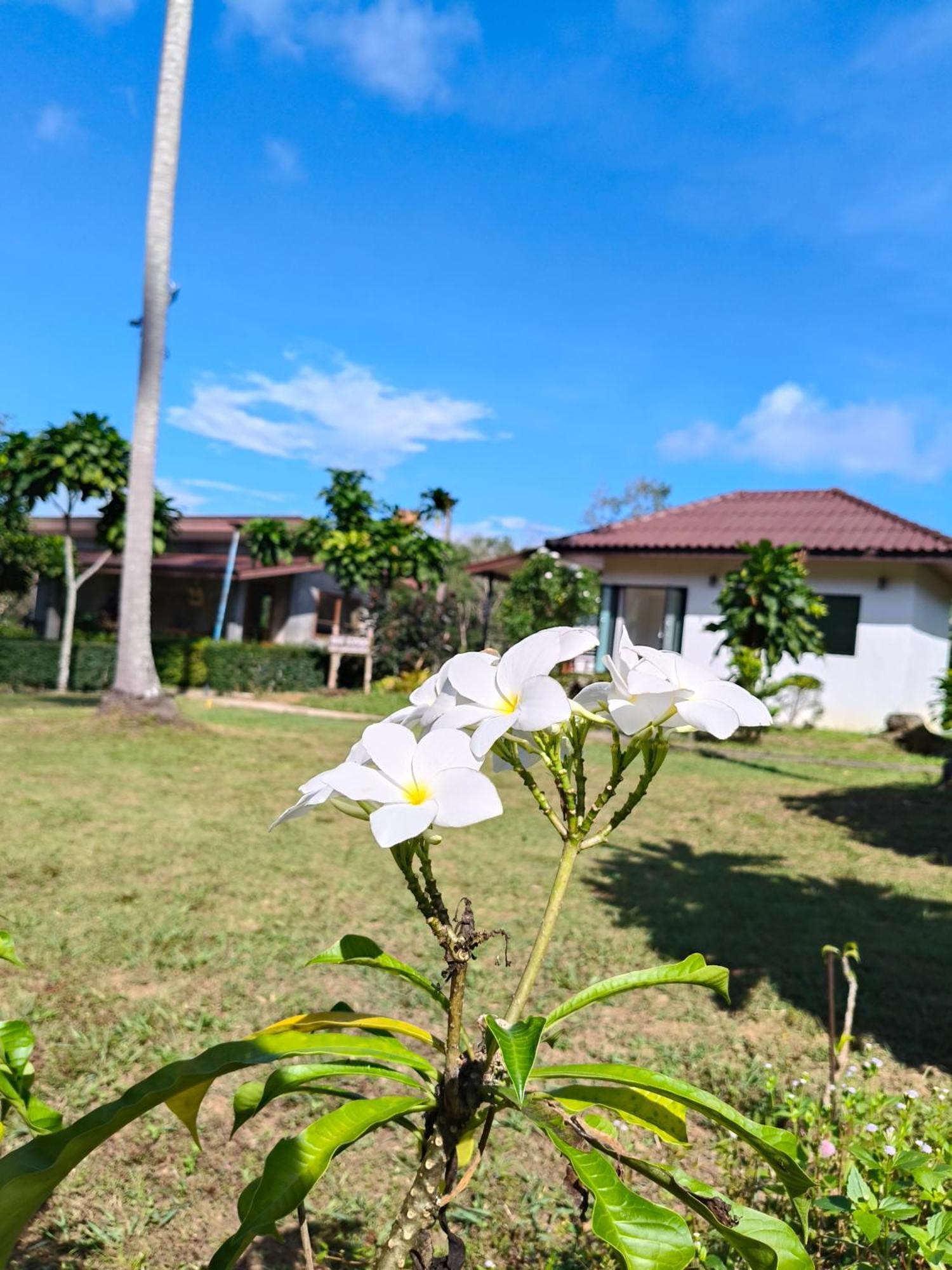 The Lodge At Koh Kood Ko Kut Buitenkant foto